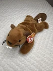 Vintage 1995 TY Beanie Babies Collection - Bucky the Beaver w/ Tags