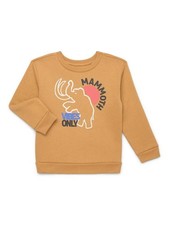 2 pcs Garanimals Toddler Boy Graphic Fleece Sweatshirt 2T NEW