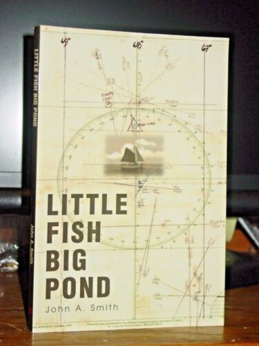 Cortador de madera Little Fish, Big Pond 39 años en alta mar crucero navegación peces - Imagen 1 de 4