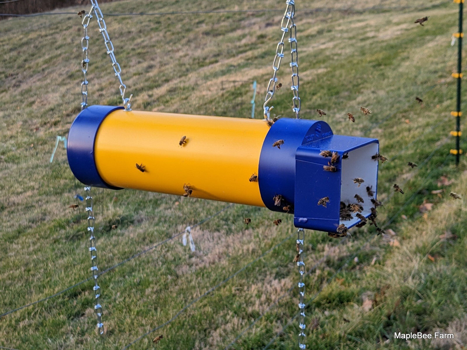 Honeybee Pollen feeder, Corydon IN Honeybees eBay