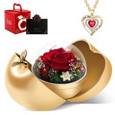 Women Gifts Ideas for Valentines Day, Preserved Forever Rose Gift with Necklace 