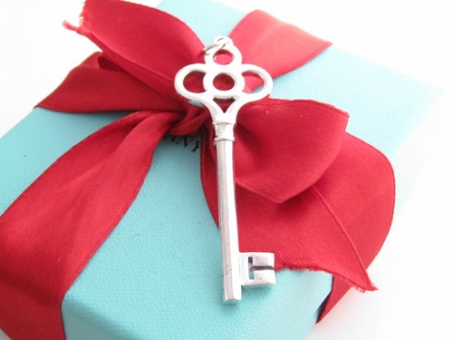 Auth Tiffany & Co. Silver Crown Key Pendant For Necklace Bracelet