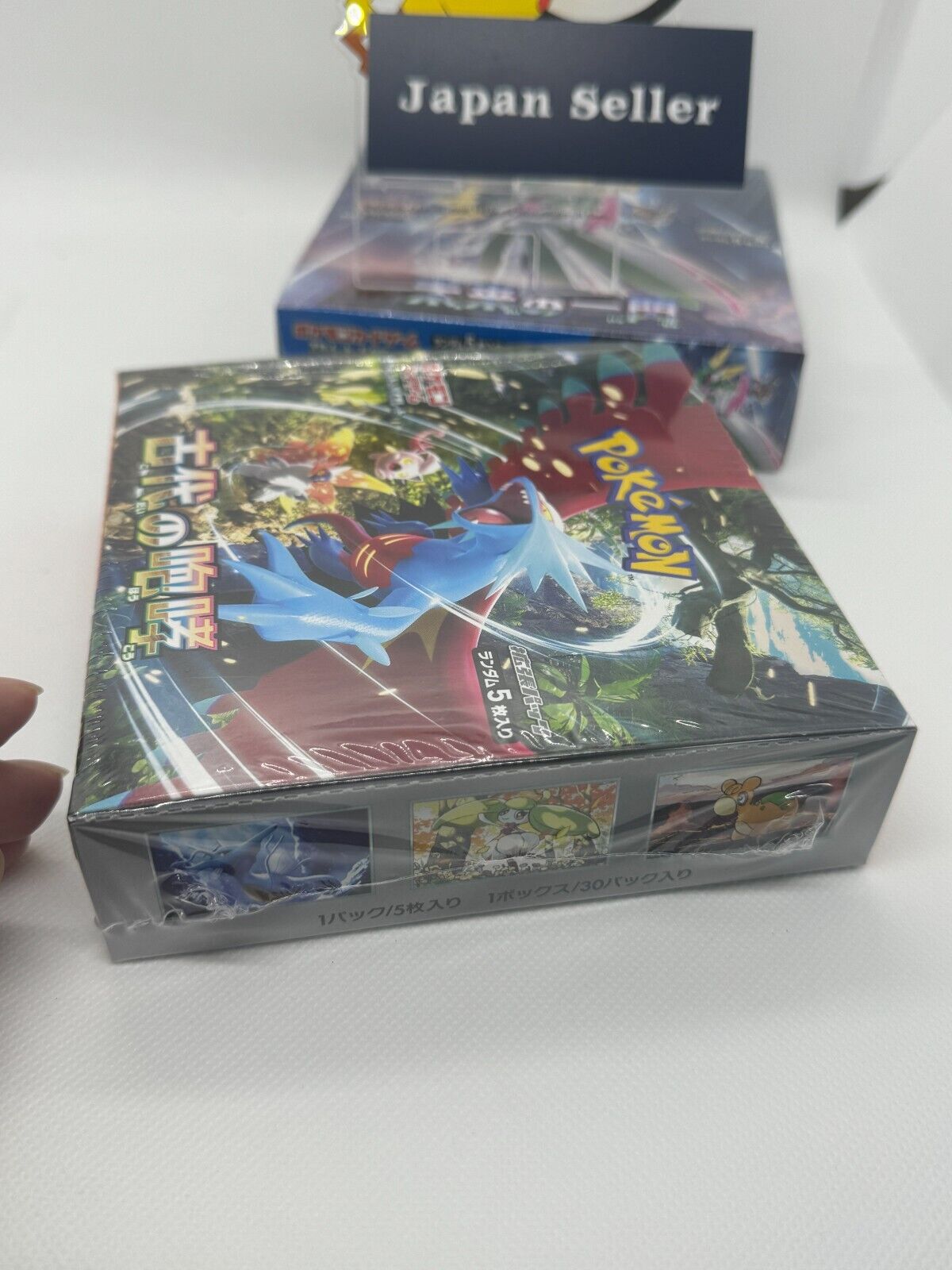 NUEVOS SETS JAPONESES REVELADOS: ANCIENT ROAR Y FUTURE FLASH - NUEVOS SETS  PARA 2024 - POKEMON TCG 