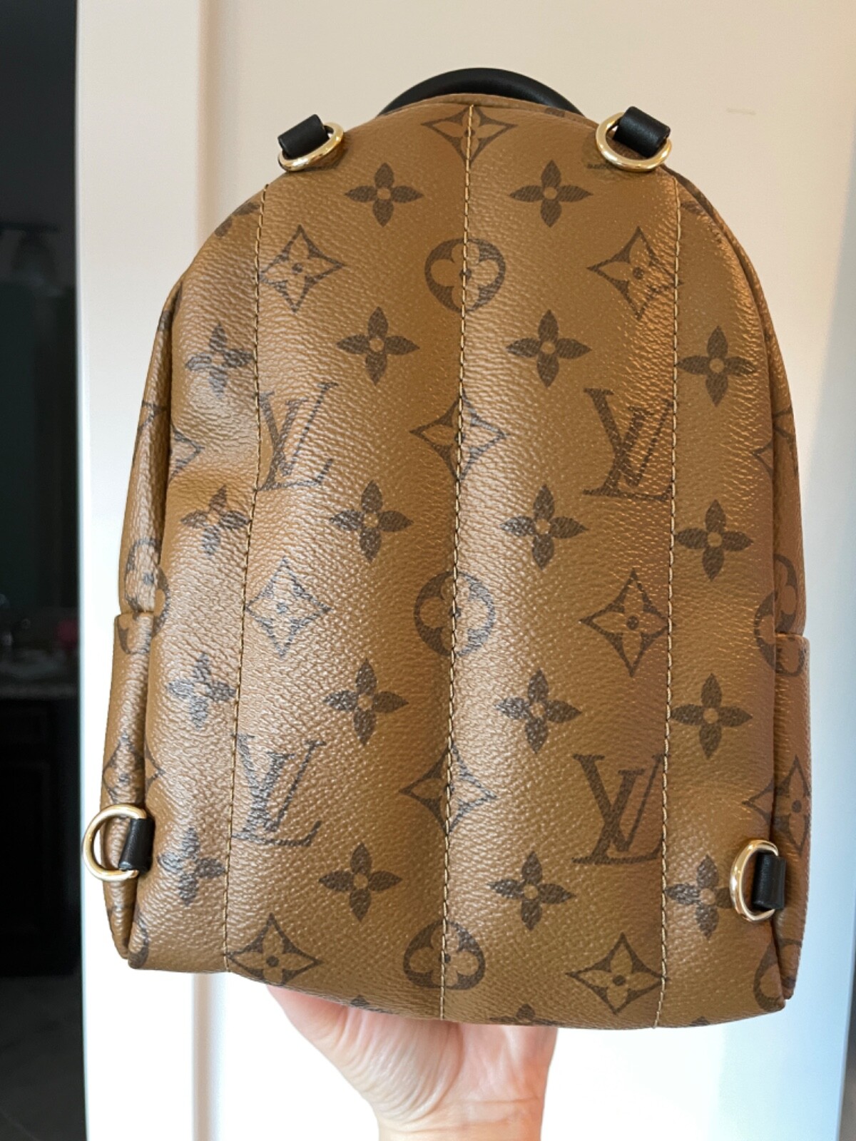 Brown Louis Vuitton Monogram Reverse Palm Springs PM Backpack – Designer  Revival