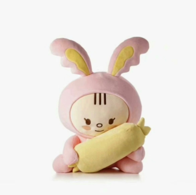 SEVENTEEN JEONGHAN Artist Made Collection PLUFFY TORAM & BLANKET