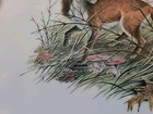 Bild 3 von 11