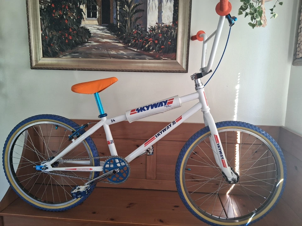 Bicicleta BMX Completa Skyway TA 24" - Old School BMX - GT - Hutch - Redline - Bonita Foto 2 de 4