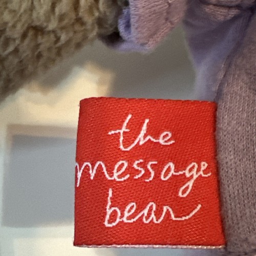 Camicia The Message Bear Marrone Viola Amici Per Sempre 13 Pollici 4165 - Foto 13 di 14