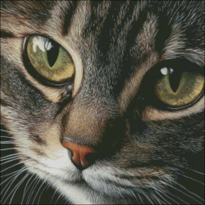 Cute Cat Face 2 - Counted Cross Stitch Kits Needlework Embroidery DIY