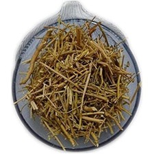 Barge Suddav Panchang Burge Sadab Berge Suddab Ruta Graveolens Garden Rue -F/S