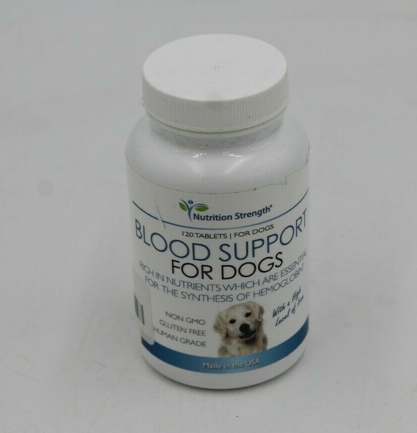 Can Humans Catch Anything From Dog Blood