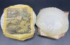 REAL Clam Shell Serving dishes Set of 8 1960's VTG 5.5” From Japan NEW!