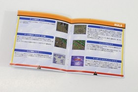 Sonic 3D Flickies' Island Manual Only SEGA Saturn SS NTSC-J Japan US Seller