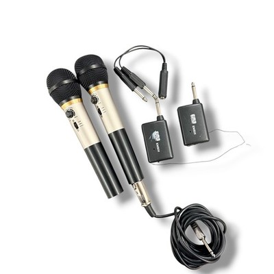 EMB35 Professional Dual Wireless Karaoke Mic System 2 Microphones Receivers 1/4 