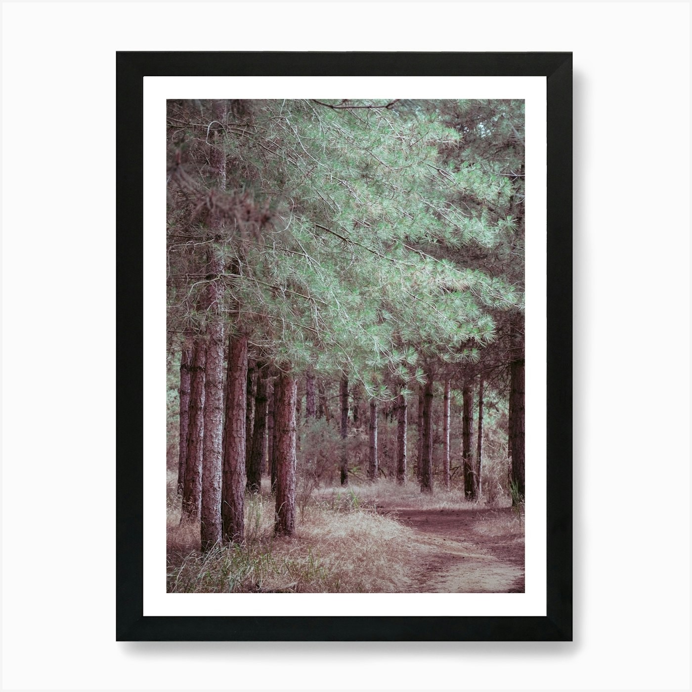 Pine Forest Art Print Framed Wall Art Poster Canvas Print Picture