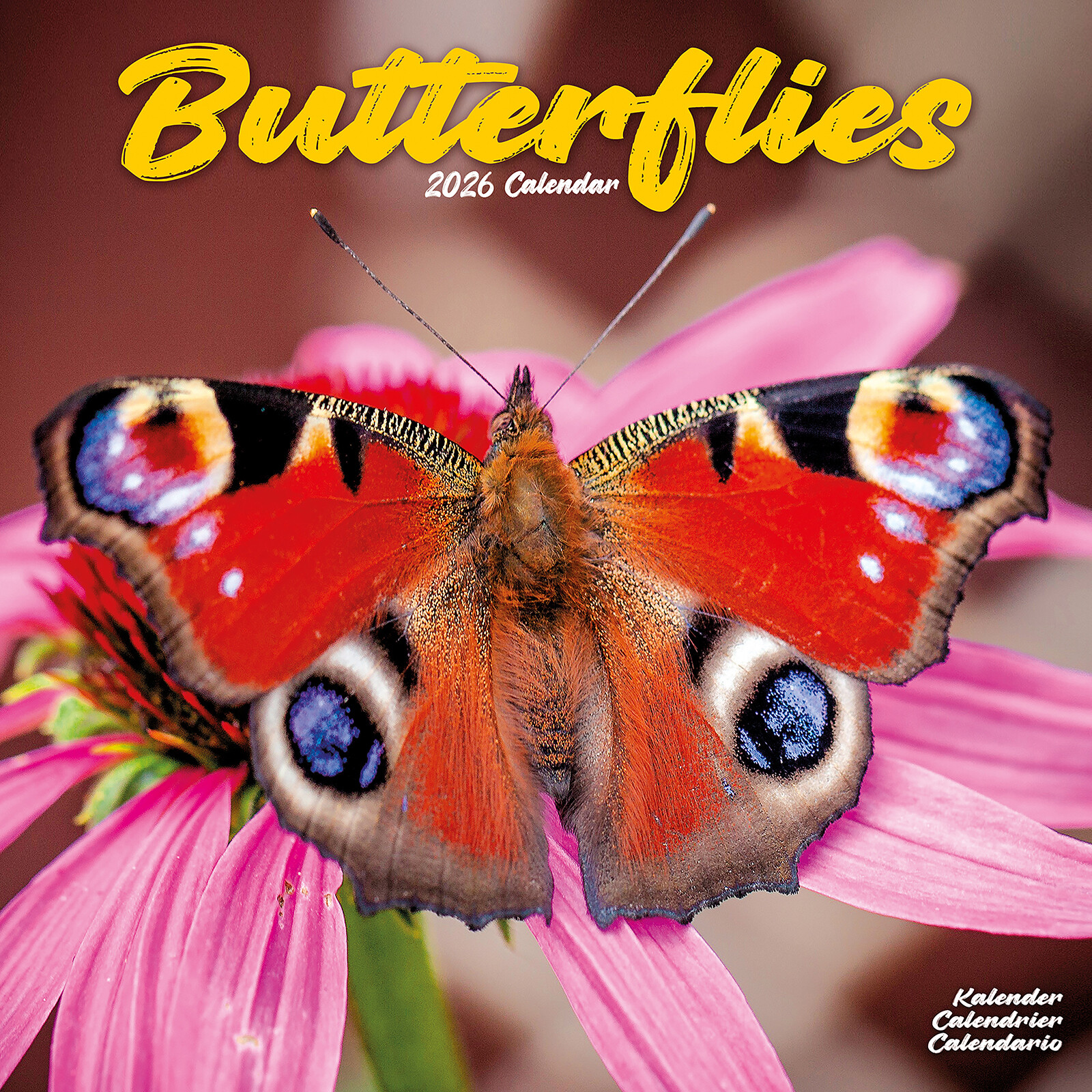 Butterflies 2026 Calendar Gift Wall 15% OFF MULTI ORDERS