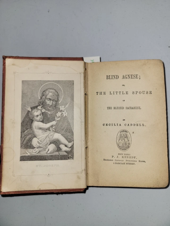 Catholic Presentation Library Antique Book 1855 Blind Agnese The Little Spouse - Image 3 of 4