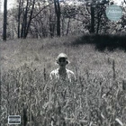 Taylor Swift – folklore In The Weeds Deluxe & Limited Edition Teal Vinyl 2LP