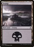 Swamp 295/302 Commander 2019 C19 (BASE) (MTG) - MINT