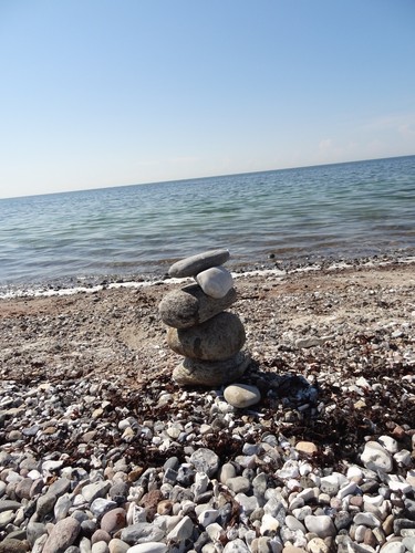 Fehmarn Camping Urlaub Hund Ostsee Wohnwagen mieten "Käptn Kolja" - Bild 19 von 23