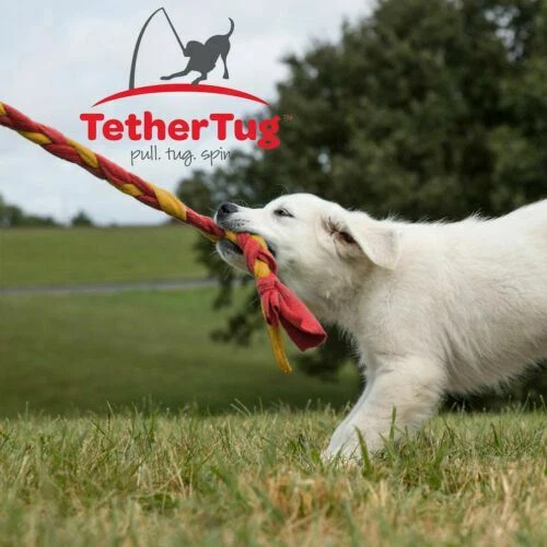 Juguete interactivo para perros Tether Tug V2 ejercicios interactivos de tirón de hasta 70 libras Foto 3 de 4