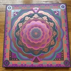 Grateful Dead Boston Garden 5/7/77 RSD LTD ED. 5LP BOX SET, RECORD STORE DAY