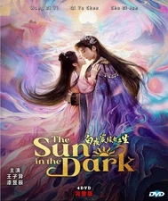 DVD The Sun in the Dark (2025) Chinese Drama Series English Sub All Reg FreeShip