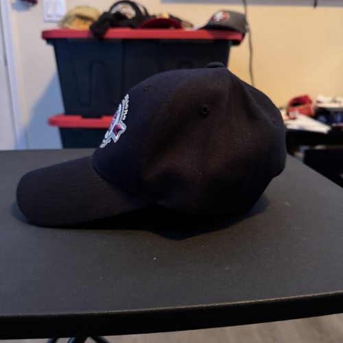 vintage-sacramento-kings-20-seasons-cap-season-2004-2005-one-size-ebay