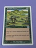 MTG Magic: Classic Sixth Edition: Summer Bloom #255/350 Uncommon - NM