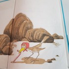 Bild 8 von 20