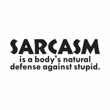 Sarcasm Defense Against Stupid - Decal Sticker - Multiple Colors & Sizes ebn4142