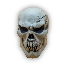 Large Skull Geocache Container