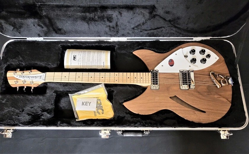 Rickenbacker on sale ebay uk