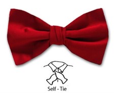 Men's Solid Satin Self Tie Bowtie- NWT
