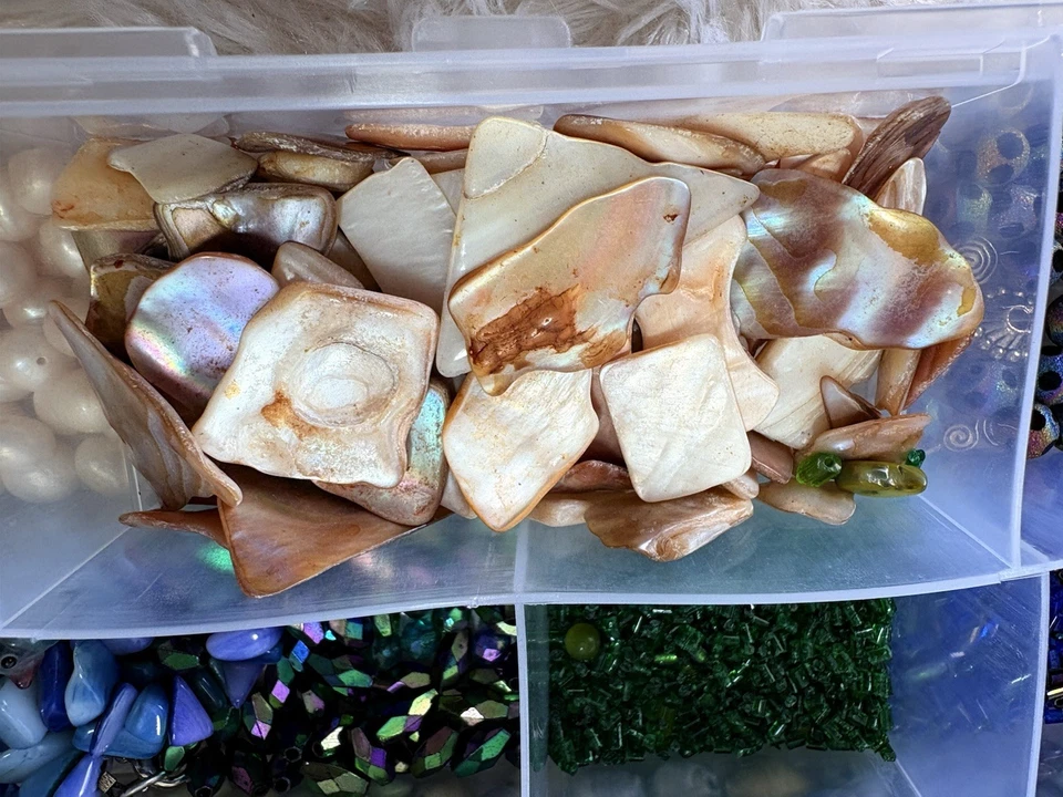 Lote De Colección De Cuentas Azul Verde Playa Concha MOP Perlas De Agua Dulce + Caja Foto 3 de 4