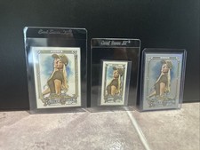 😘 2025 Topps Allen & Ginter Livvy Dunne #225 Rainbow Foil Base Mini Set 😘