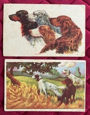 Vecchie Cartoline CANI DA CACCIA