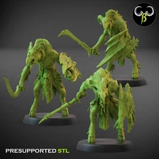 Avian Raider Shield Set B  | ClayBeast Creations RPG D&D 3D Printed Miniature