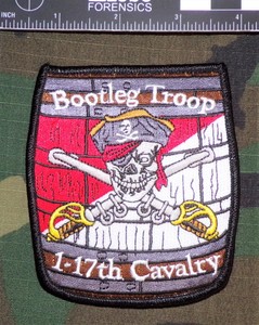 1st squadron 17th cavalry regiment