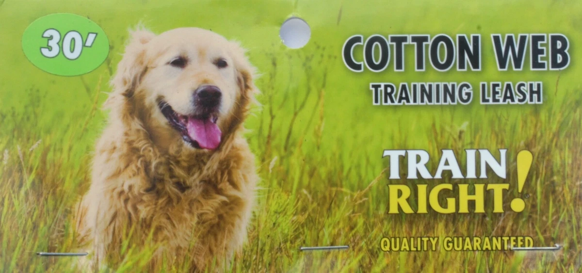 Cotton web training leash cheap