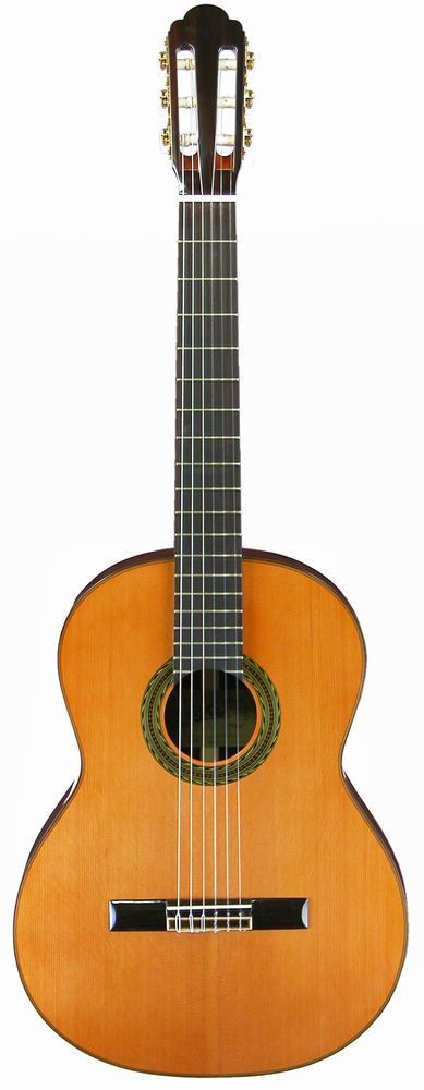 Classical Acoustic Guitar Aria A-100C Aria All Solid Wood