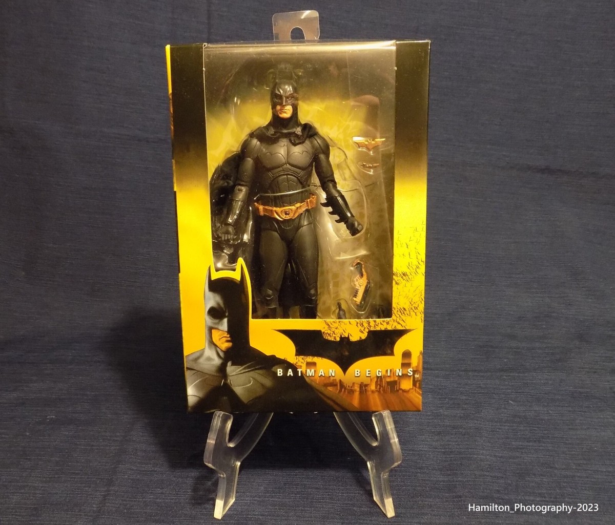 NECA Batman Begins 7