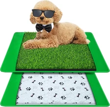 Dog Grass Mat with Pee Pad 20×25", Small Dog Litter Box Indoor Artificial Turf G