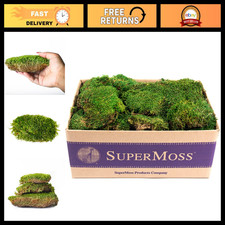 Preserved Mood Moss - Fresh Green Decorative Moss, 3 lbs for Crafts Decor