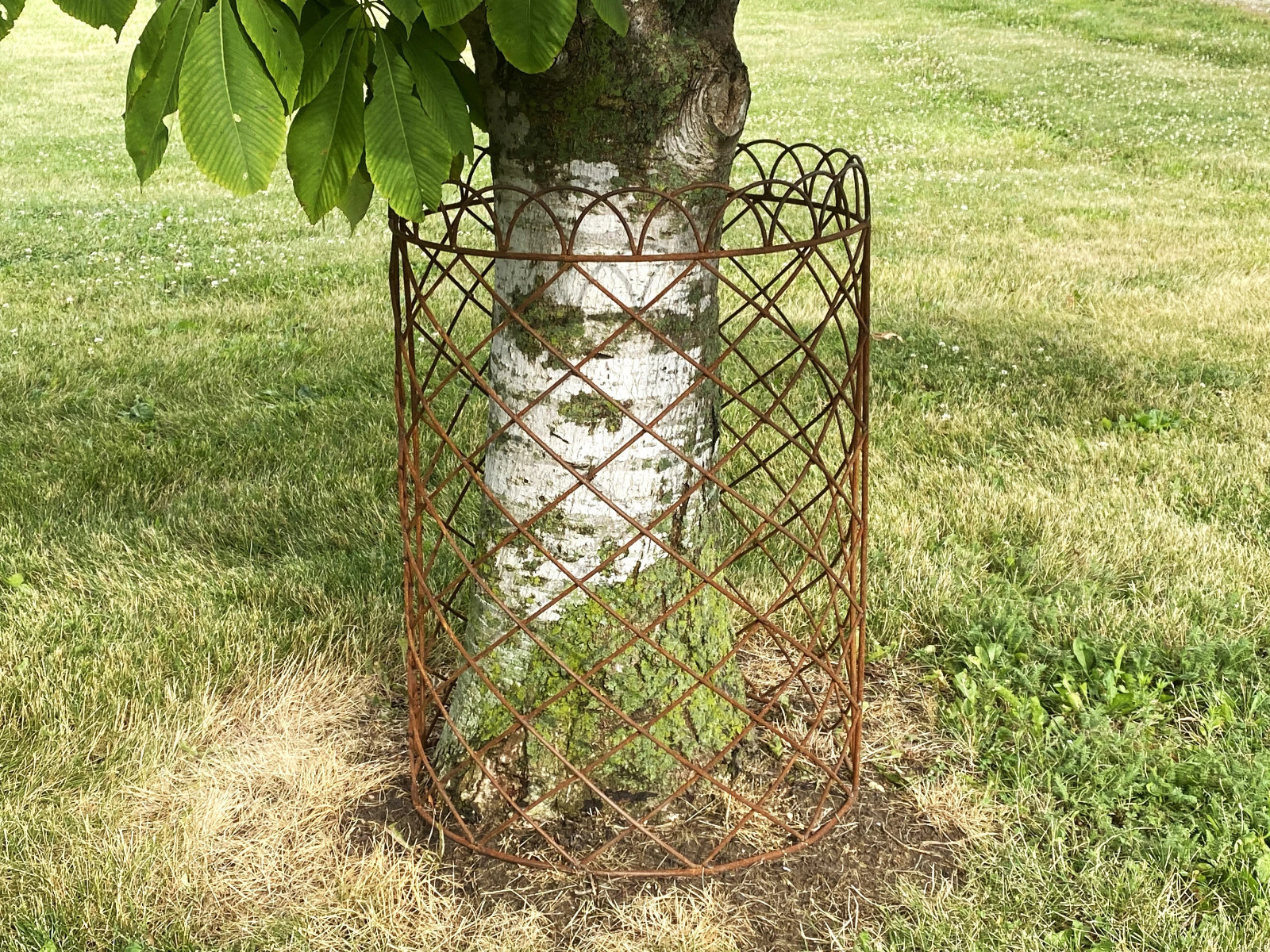Picture 6 of 7
