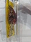 Foto 6 di 12