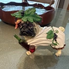 Westland Giftware Pinot Wine Pugnacious Pug — Rare Retired