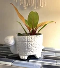 Vintage McCoy White Smiling Turtle Planter RARE 5 1/4” Tall