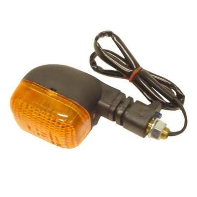 Blinker komplett vorne rechts Triumph Daytona 955i CE EFI SSSA 2002