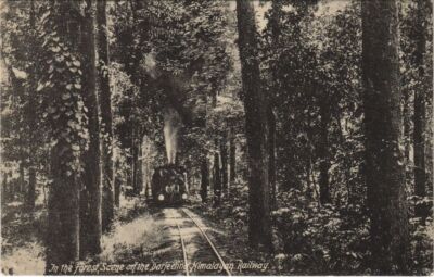 PC EISENBAHN DARJEELING HIMALAYAN IM WALD INDIEN (a24815)